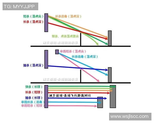 上海排球队技术分析与战术创新的深度研究与探讨