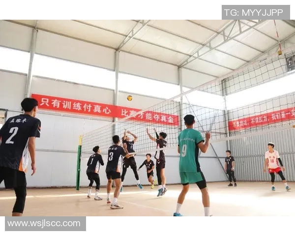 上海排球队心理素质排名第一最新排球心理素质TOP10揭晓