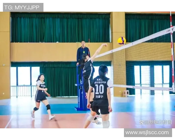 南京排球队心理素质创新高助力球队实力提升引发广泛关注