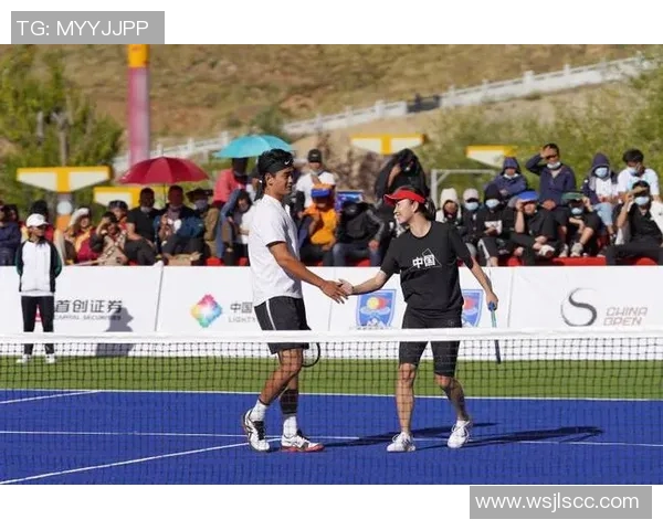 北京网球队反击策略揭秘：深度解析网球竞技的魅力与挑战