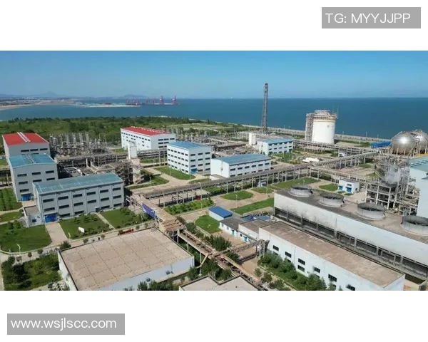 城市赛特别报道：LNG如何在竞争中逆袭成新兴能源的领军者