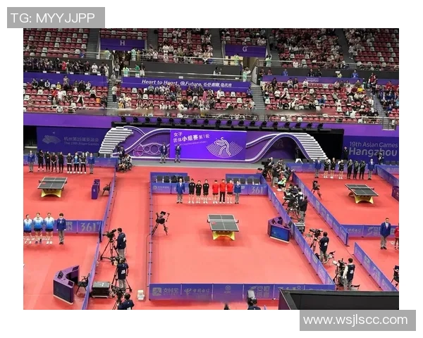 杭州乒乓球队实力分析与发展潜力探讨全面解读