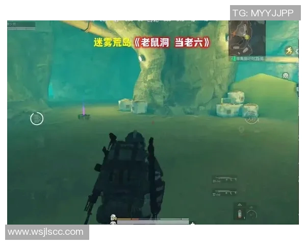 深度对话：探索陈秀英在和平精英中的成长与人生哲学