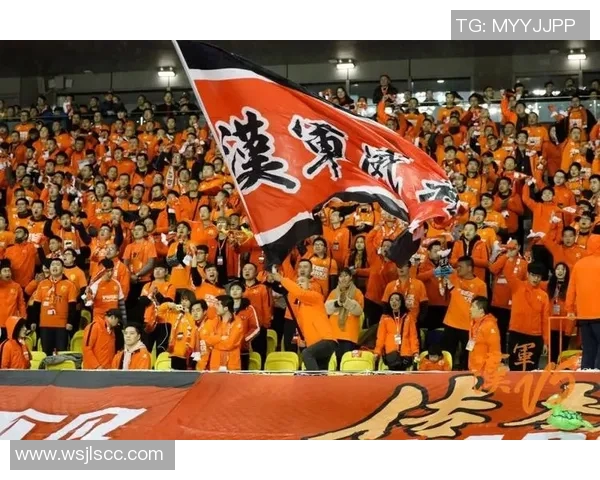 武汉网球队战术引发热议球迷与专家观点交锋分析