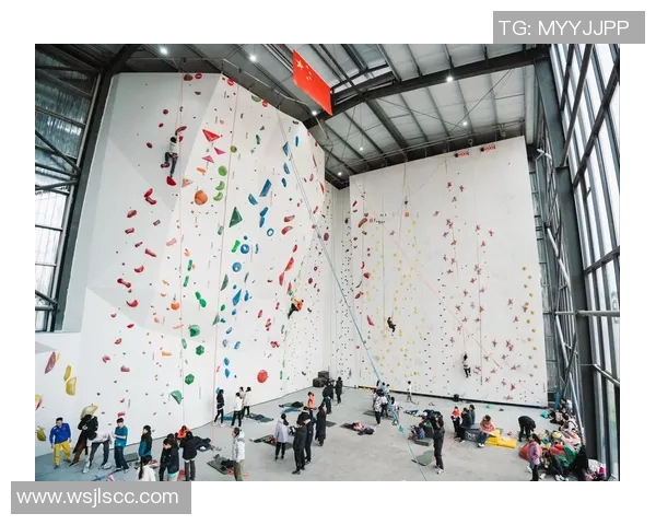 赛后分析：西安攀岩队与重庆攀岩队个人能力对比及表现评估