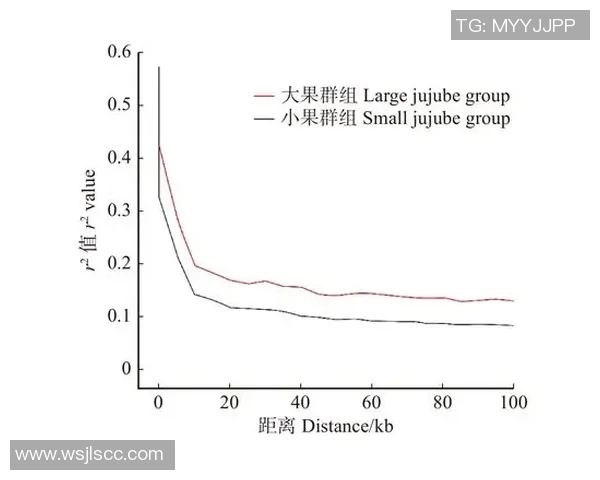 北京乒乓球队选拔赛分析：个人能力的优劣与发展潜力探讨