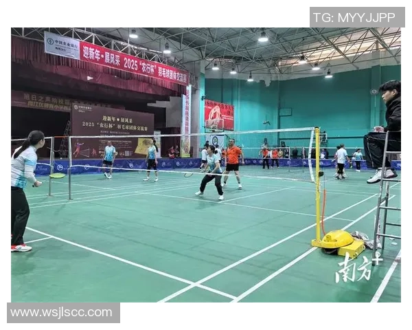 南京羽毛球队近期状态分析与未来展望聚焦羽毛球赛事发展与队伍建设