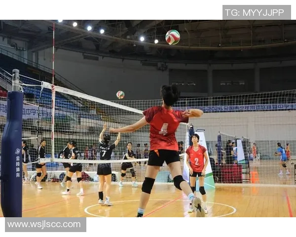 南京排球队技术革新引发热议助力排球运动新发展