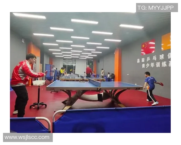 成都乒乓球队的速度之美与技术探秘,展现乒乓运动的魅力与激情