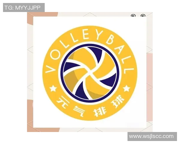 排球盛宴：深入解析上海排球队的战术布局与团队协作