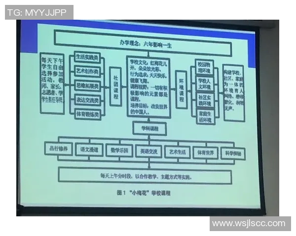 成都滑板队比赛经验分析与数据表现研究探讨