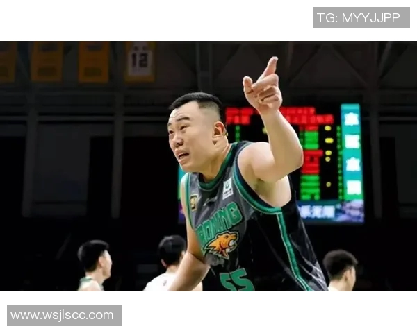 CBA2019至2020赛季广东队与辽宁队精彩对决回顾与分析