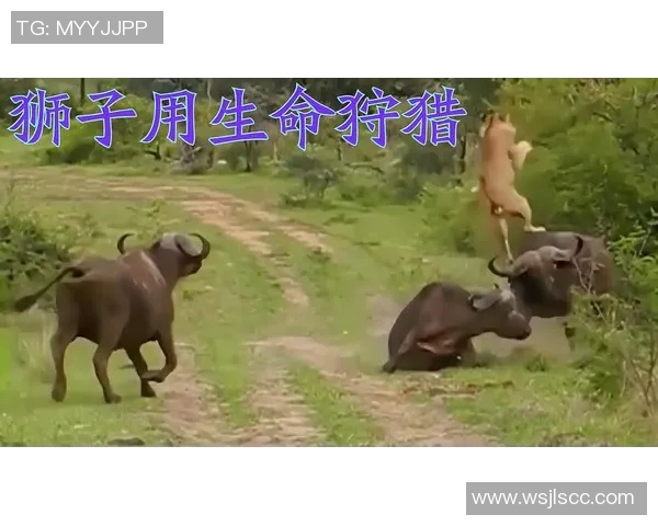 布林狮子与绿色吉利的巅峰对决谁能在这场较量中胜出