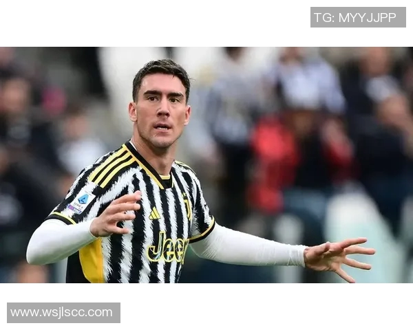 弗拉霍维奇:从新星崛起到足球巨星的成长之路与未来展望 弗拉霍维奇:从新星崛起到足球巨星的成长之路与未来展望